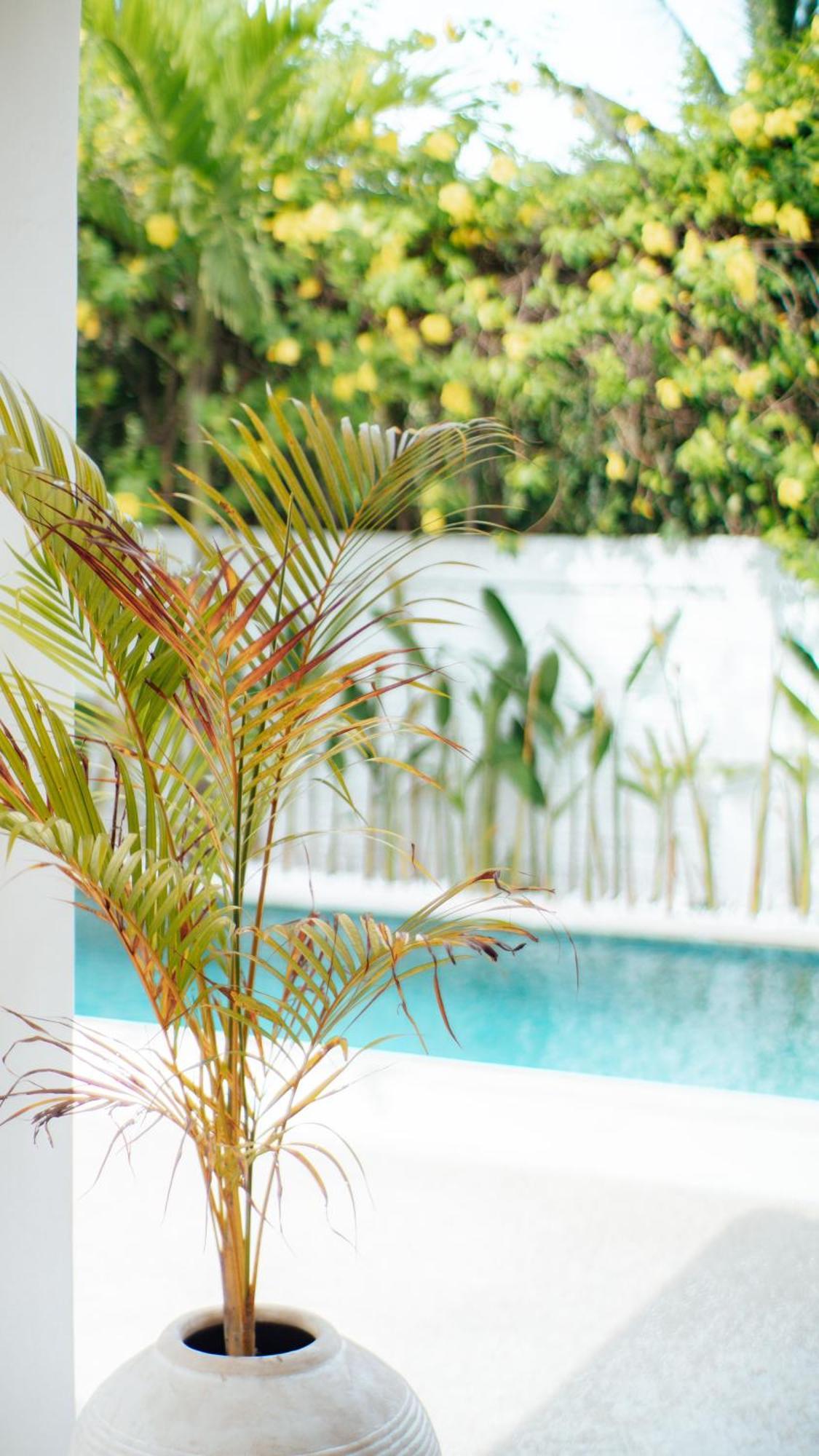 The White Bay Lombok Apartment Kuta  Екстериор снимка